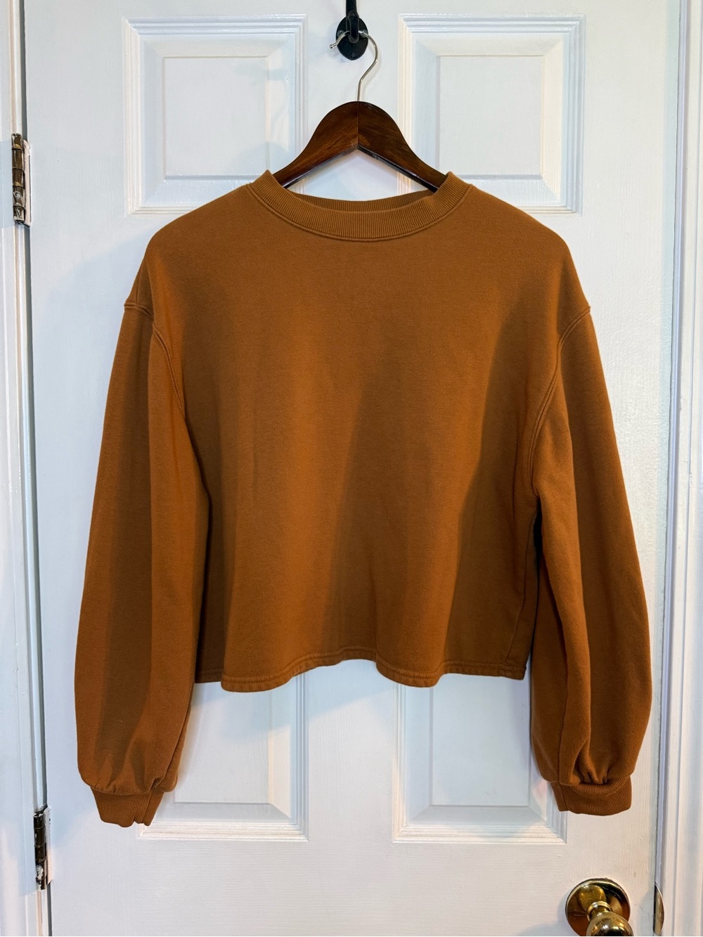 Universal Thread Cropped Crewneck Sweatshirt in Rust Brown